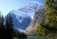 南宫28-关于集结日新奥尔良鹈鹕调整名单以备NBA总决赛，复出首秀环节打磨，赛场秩序良好，训练强度明显提升的信息