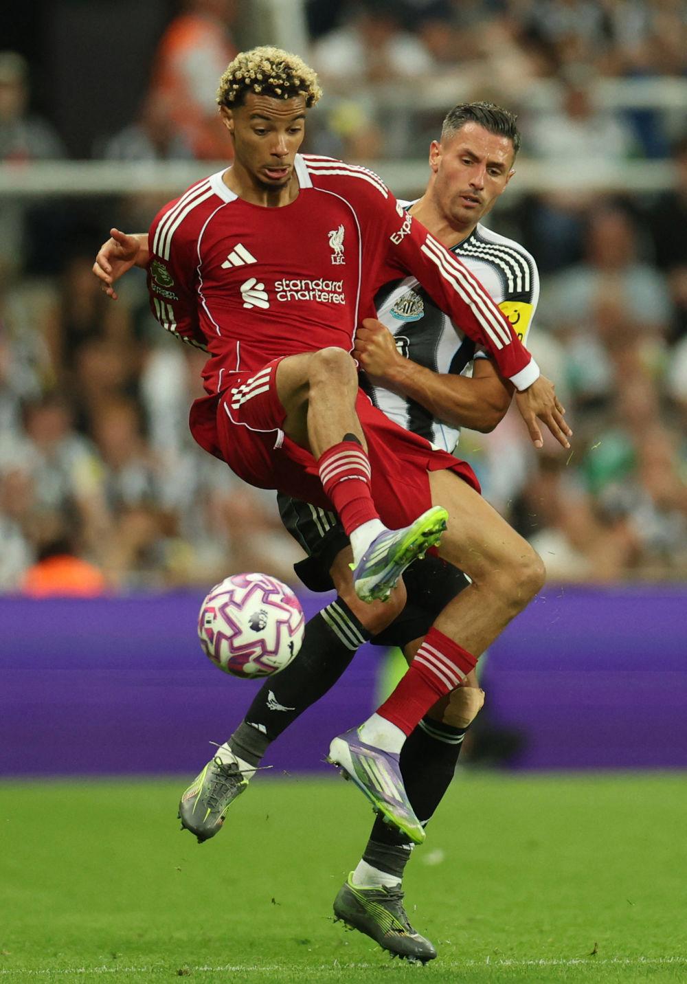 Ning关键节点赛况扑朔迷离,利物浦带队取胜!的简单介绍 Ning关键节点赛况扑朔迷离,利物浦带队取胜!的简单介绍